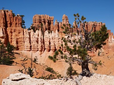 USA - velký okruh s Yellowstonem - 2020